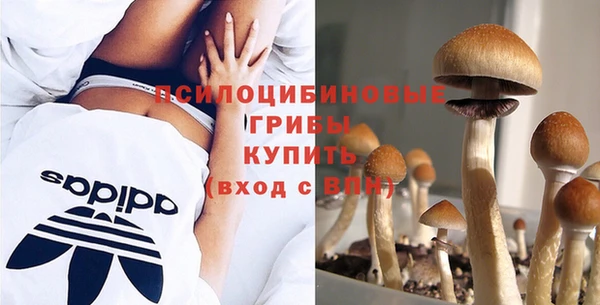 спайс Гусиноозёрск