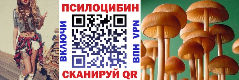 Псилоцибиновые грибы прущие грибы  купить наркотики цена  блэк спрут маркетплейс  Данилов 